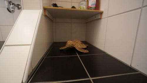 Apartamento Haus Harde Whg 03 Og - A57327