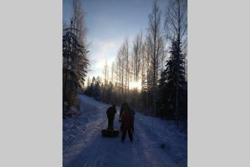Cozy Holiday Home In Savonranta