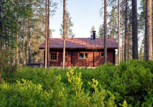 Viihtyis� Lomam�kki Levill�