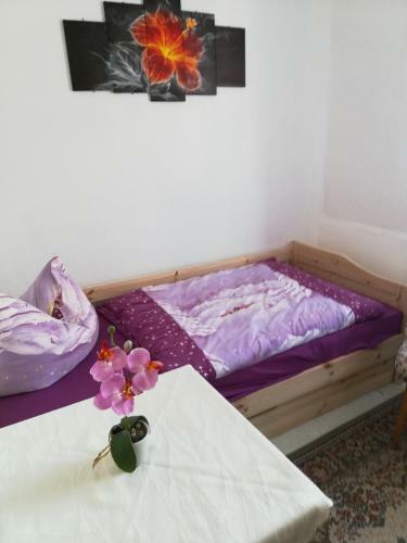 Apartamento Ferienwohnung Hentzschel