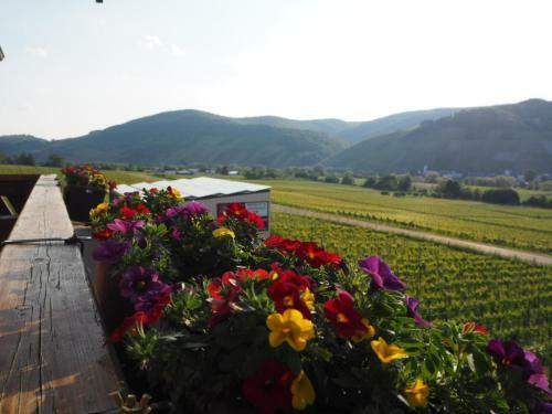 Apartamento Weingut & Gastehaus Andreas Erz