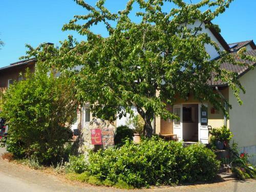 Apartamento Weingut & Gastehaus Andreas Erz