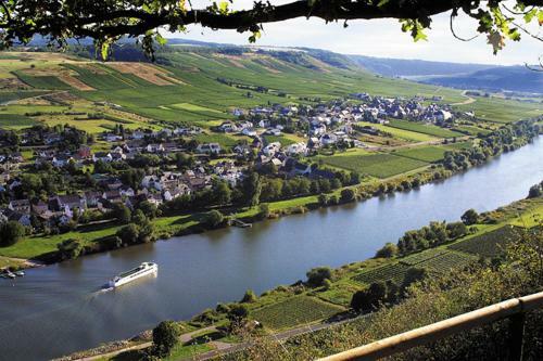 Apartamento Weingut & Gastehaus Andreas Erz