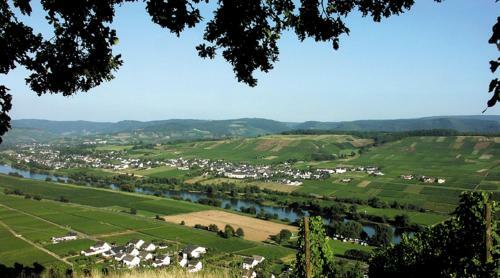 Apartamento Weingut & Gastehaus Andreas Erz