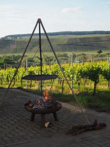 Apartamento Weingut & Gastehaus Andreas Erz