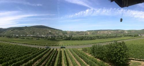 Apartamento Weingut & Gastehaus Andreas Erz