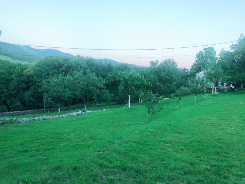 Villa House Anica