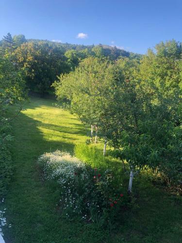 Villa House Anica