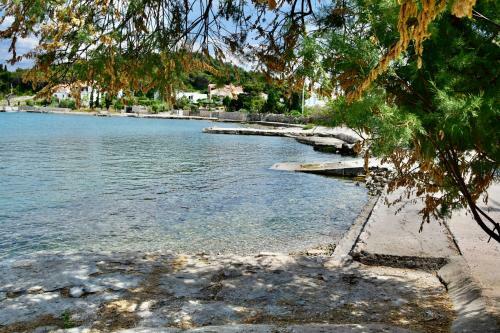 Beachfront House 5+3