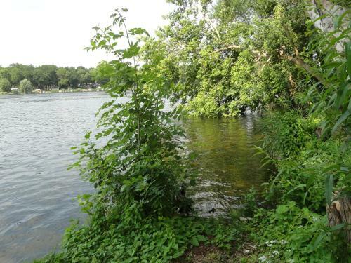 Apartamento Cottage Ferienwohnung Mit Seeblick