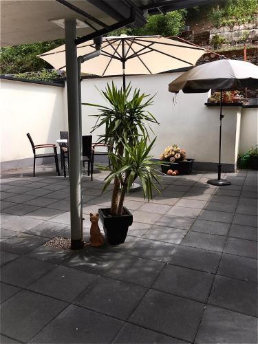 Apartamento Haus Anne