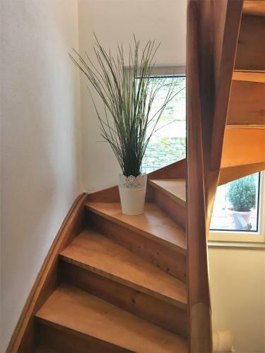 Apartamento Haus Anne