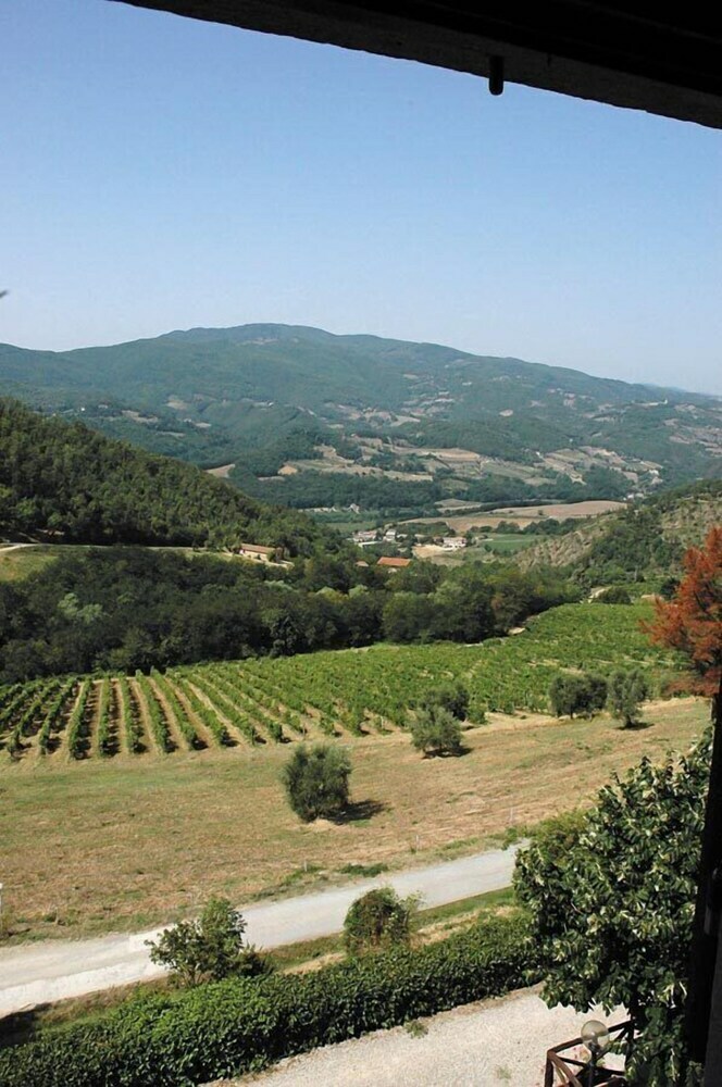Agroturismo Fattoria Il Lago