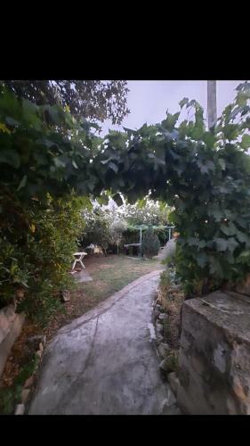 Apartamento Aparrmani Franeli? Lopar 310