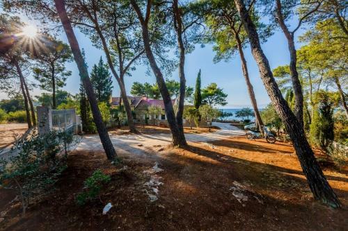 Beach House Fisherman's House