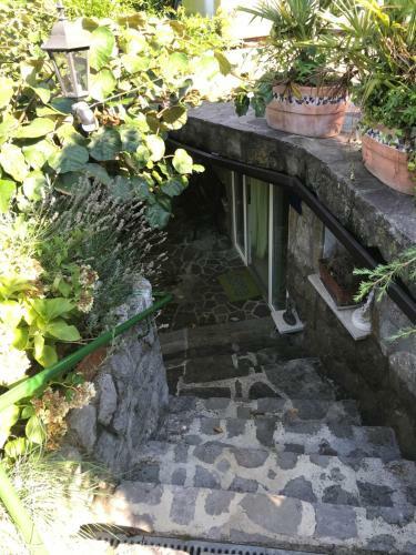Studio Apartman Lavanda
