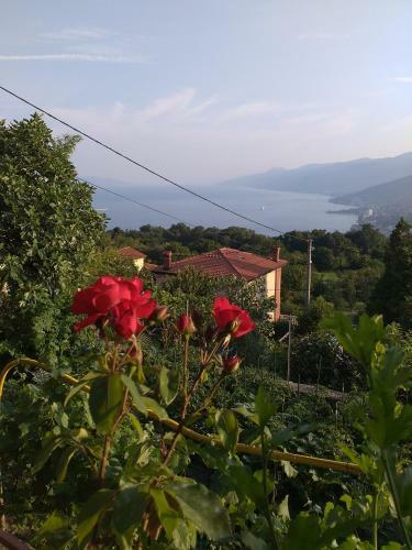 Apartamento Panorama