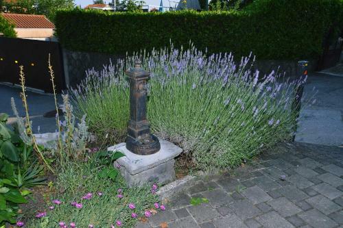 Apartment Ivone - 5 Stars