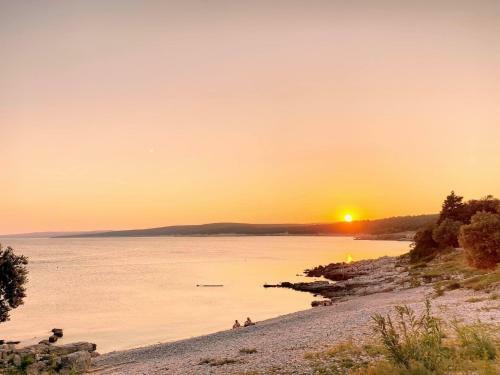 Villa Gogli With Private Pool In Rabac Labin