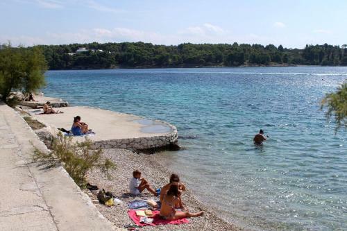 Apartments By The Sea Milna, Brac - 5677