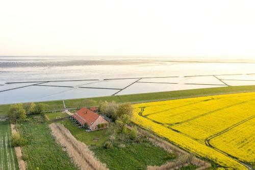 Apartamento Gulfhof Polder72 Polder72 7 Here