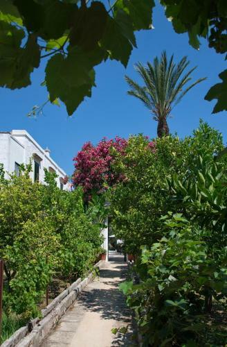 Agroturismo Masseria Il Frantoio