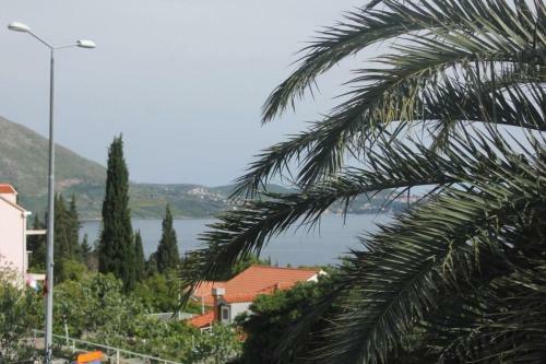 Apartments With A Parking Space Mlini, Dubrovnik - 8985