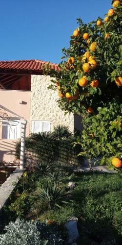 Apartamento Karoma Sunroof