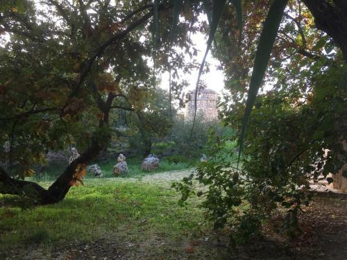 Agroturismo Masseria Storica Pilapalucci