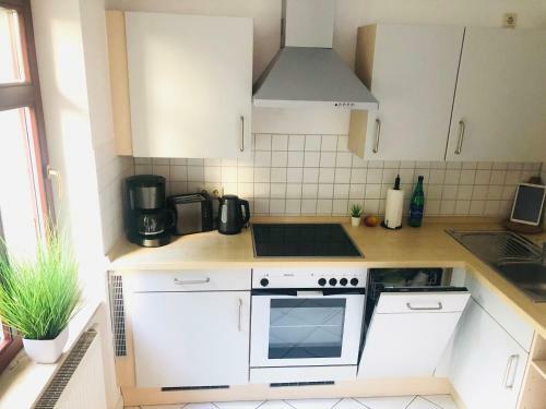 Helles 2 Raum Apartment Mit Eigener Terrasse Dresden Altstadt