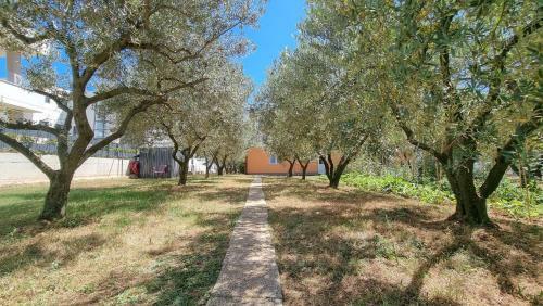 Apartamento Barbara