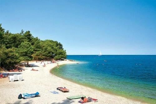 Apartment Golden Sun, Novigrad, Istria, Croatia