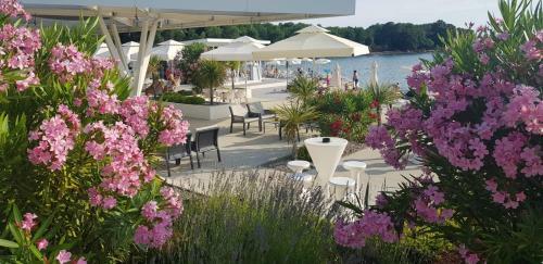 Apartment Golden Sun, Novigrad, Istria, Croatia