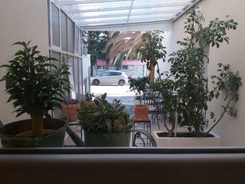 Apartamentos Frapedo Sport Makarska