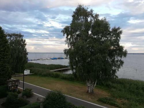 Apartamento Ferienwohnung Direkt Am Steinhuder Meer