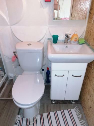 Apartamento Kleines Haus Im Oderbruch