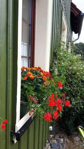 Apartamento Das Gr�ne Haus Am Gramsegrund