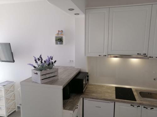 Apartments Toma?