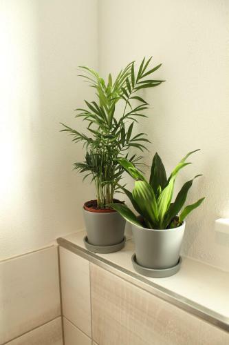 Apartamento Ferienwohnung Andergasse