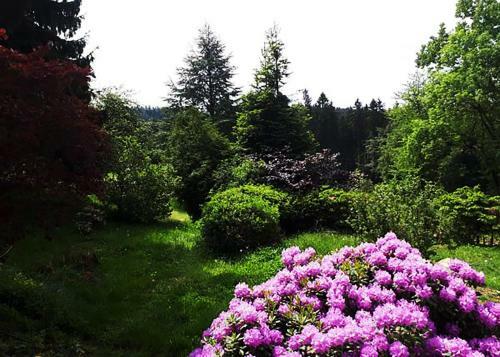 Hotel Ring Inn N�rburg