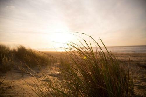 Gro�e Nordseewelle Ohne Hund - A17089