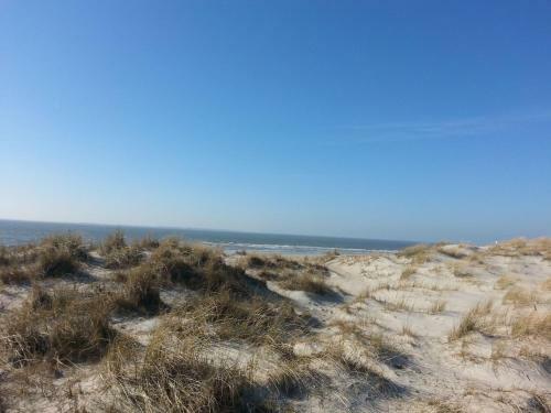 Apartamento Ferienwohnung-strandflieder