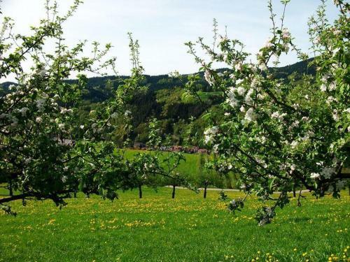 Hostal Pension Waldfrieden
