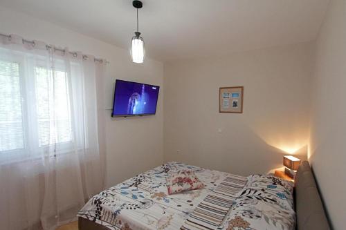 Apartment Cerovi?