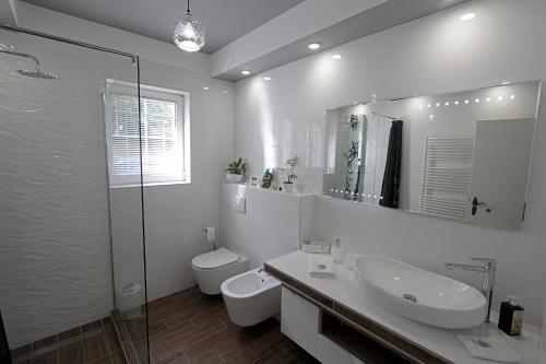 Apartment Cerovi?