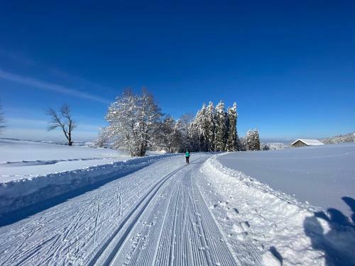 Apartamentos Ferienwohnung Hochgratgl�ck