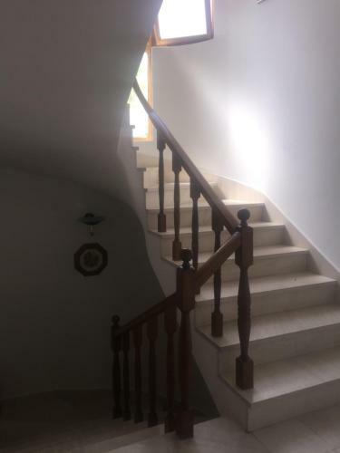 Studio Apartmani Topic