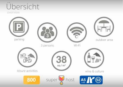 Apartamento Flat Strasbourg - Europapark / Wallaston