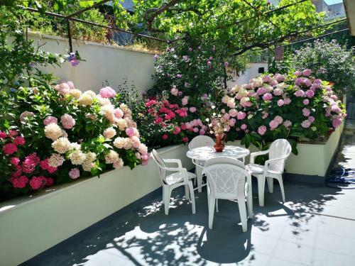Apartman Jole