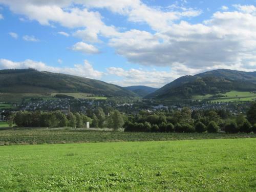 Apartamento Ferienwohnungen Sauerland Und Olsberg